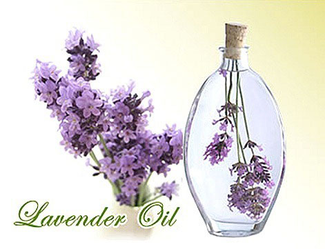 lavender oil 103